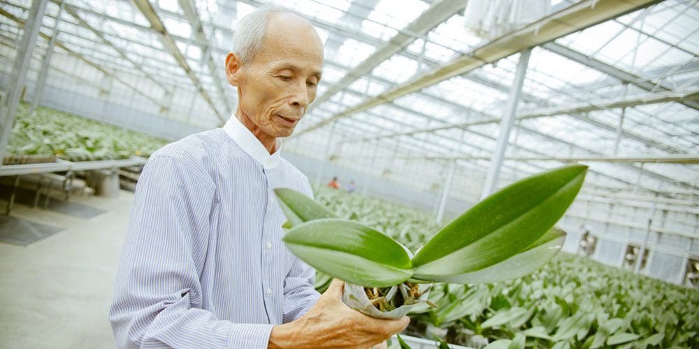 「會贏」的蘭花老師　中營蘭園李定雄