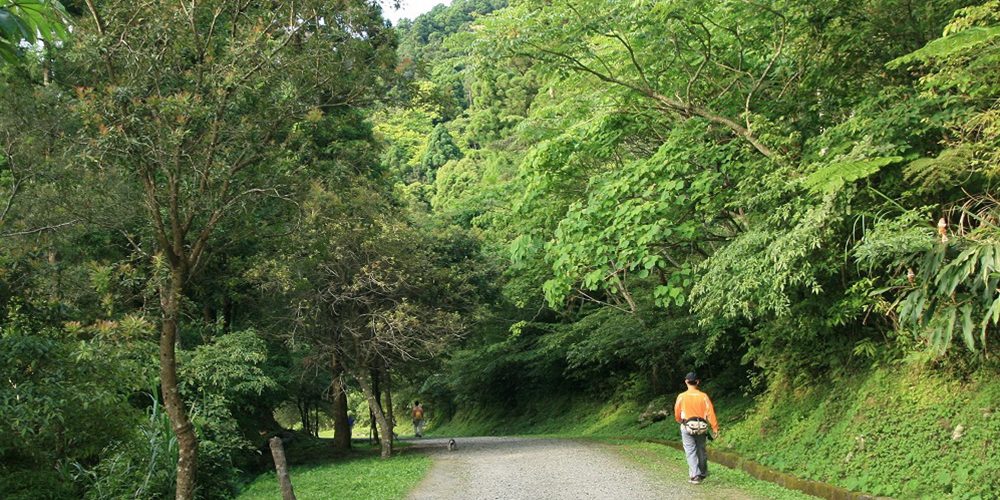 走一條生活的健康步道　臺北自然步道全攻略