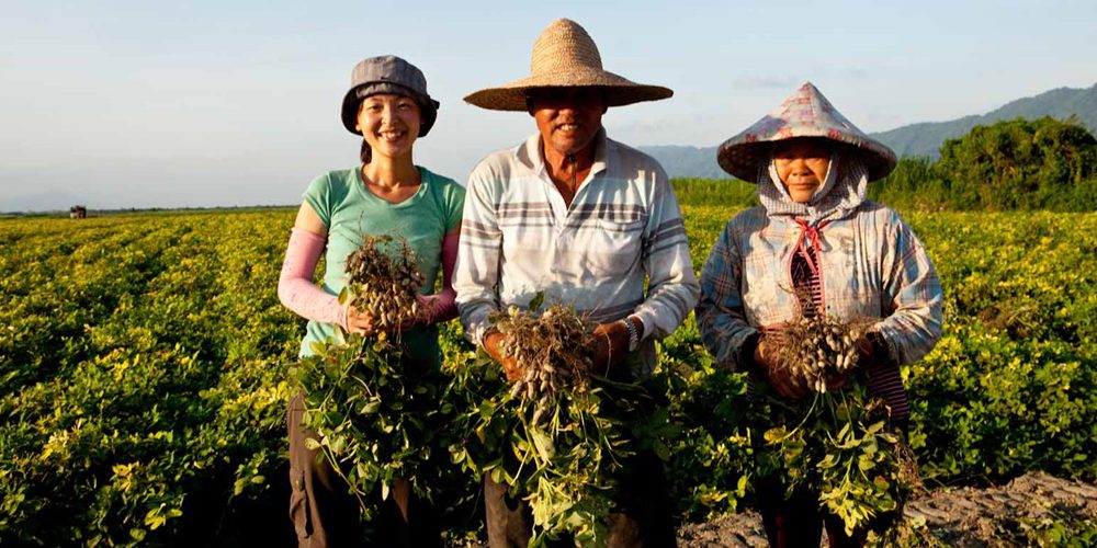 美好花生　傳承家業正在發生……