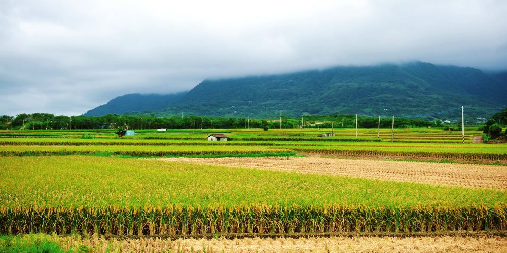 留給下一代更好的家　臺灣第一個有機村──羅山有機村