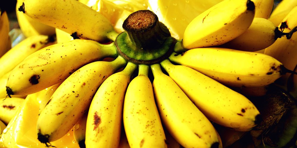 【醫藥新知】降血壓的好水果──香蕉