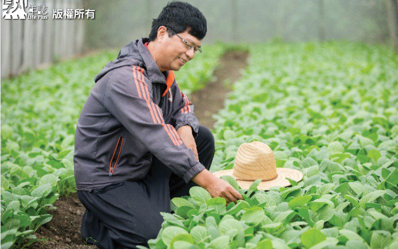羅文輝種菜救父親　推廣食農教育