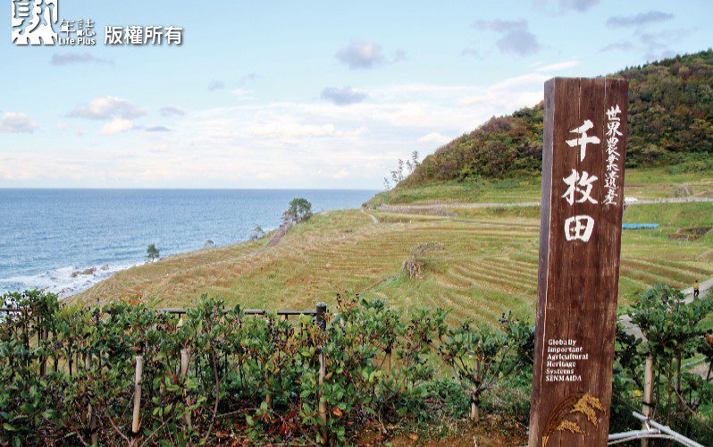 漫步輪島　感受小鎮文化底蘊