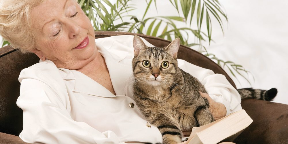 抱貓咪會讓人更健康嗎？