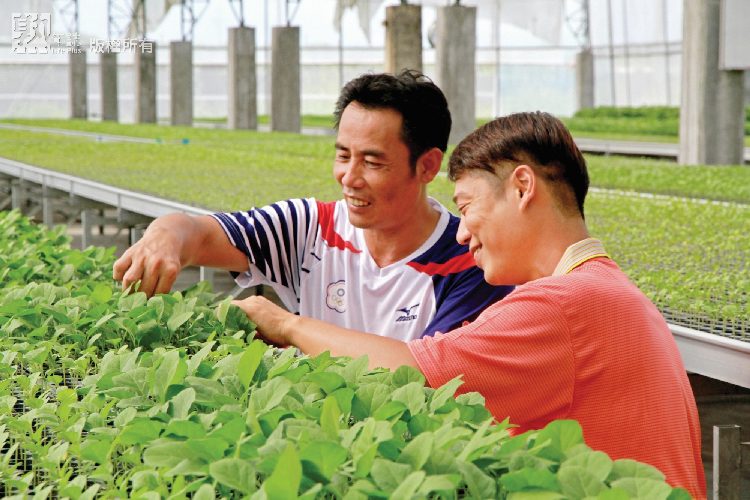 食在安心  產銷履歷溯源之旅