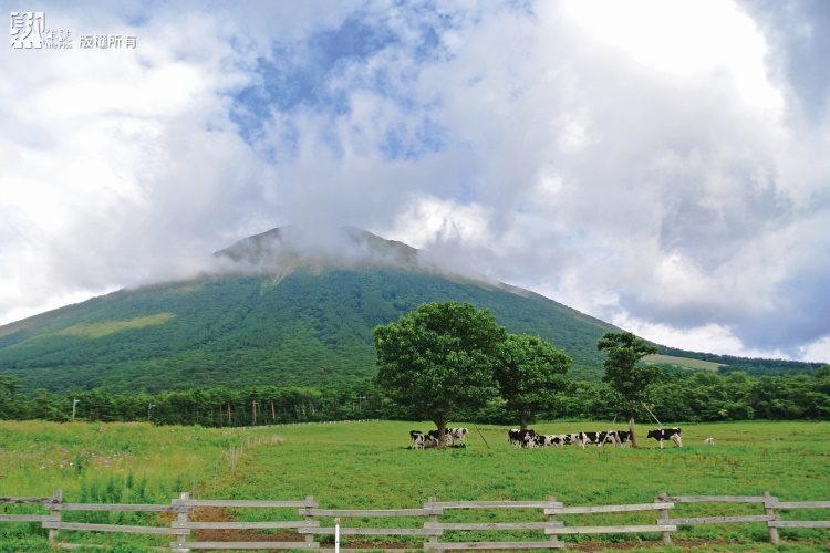 美不勝收的山陰大山