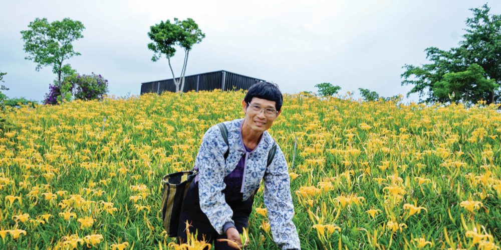 結緣金針　回歸健康的初心