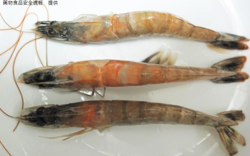 蝦頭變黑能吃嗎？