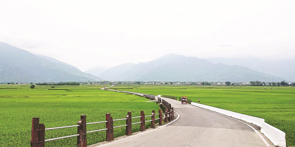 閒情慢遊畫布絕景 池上極致新魅力