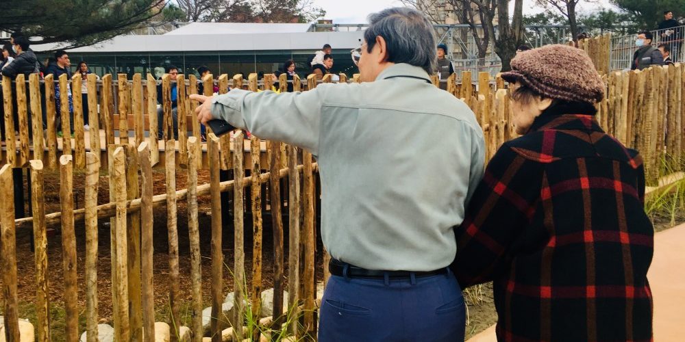 百歲長輩團正夯 來83歲新竹動物園找回憶
