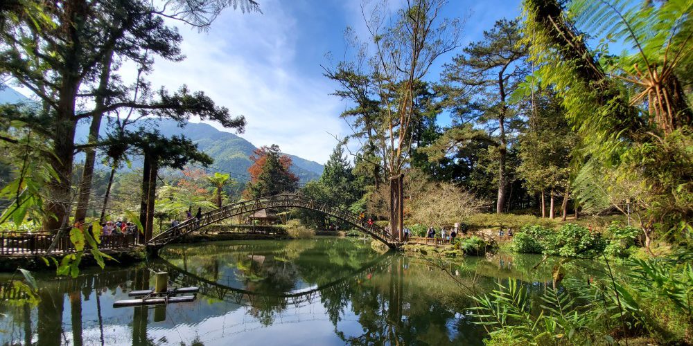 溪頭「森」呼吸　五感體驗好療育